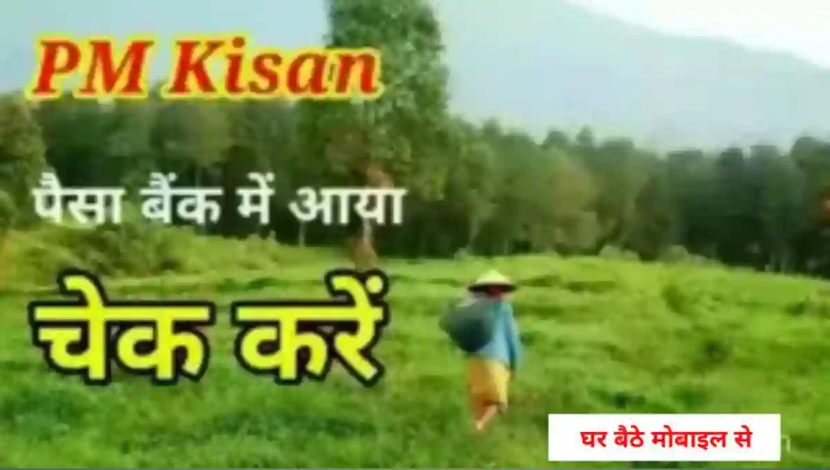 पीएम किसान का पैसा कैसे चेक करे